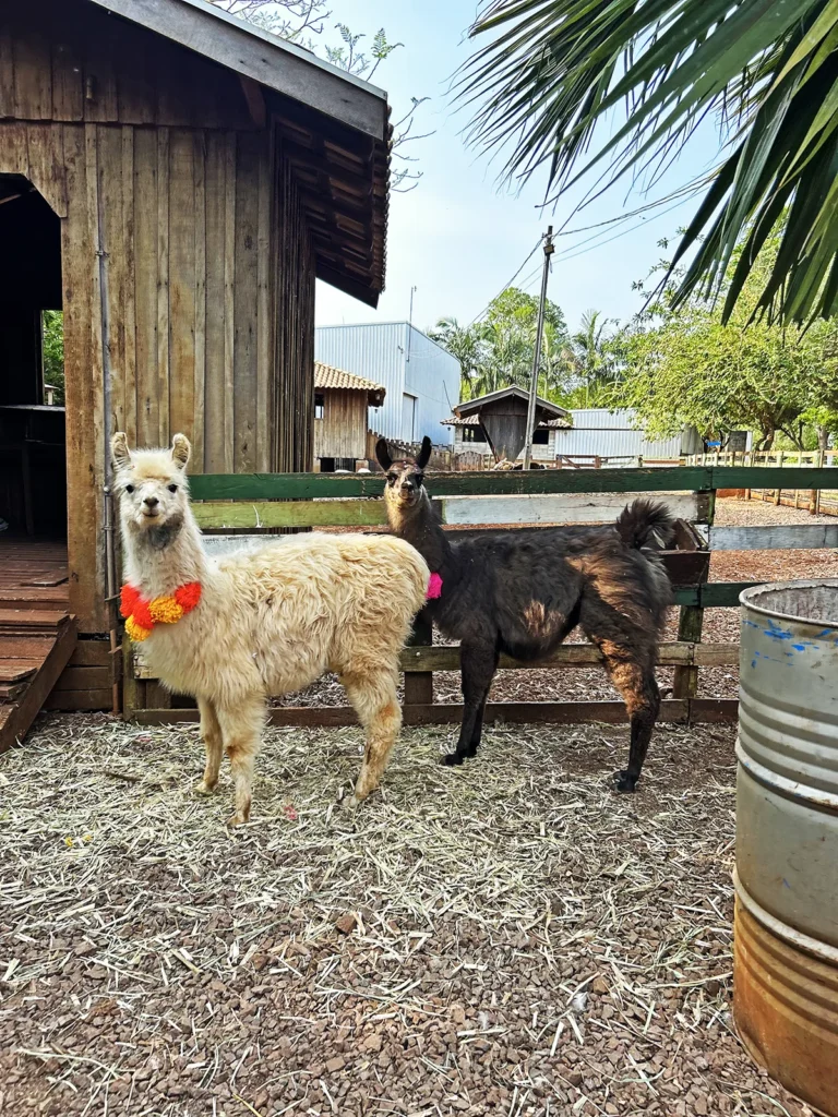 Chalé chacara estancia estrela yendis para locação.